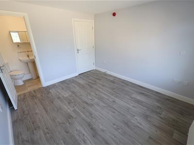 Picture 12